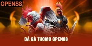 Đá gà thomo open88